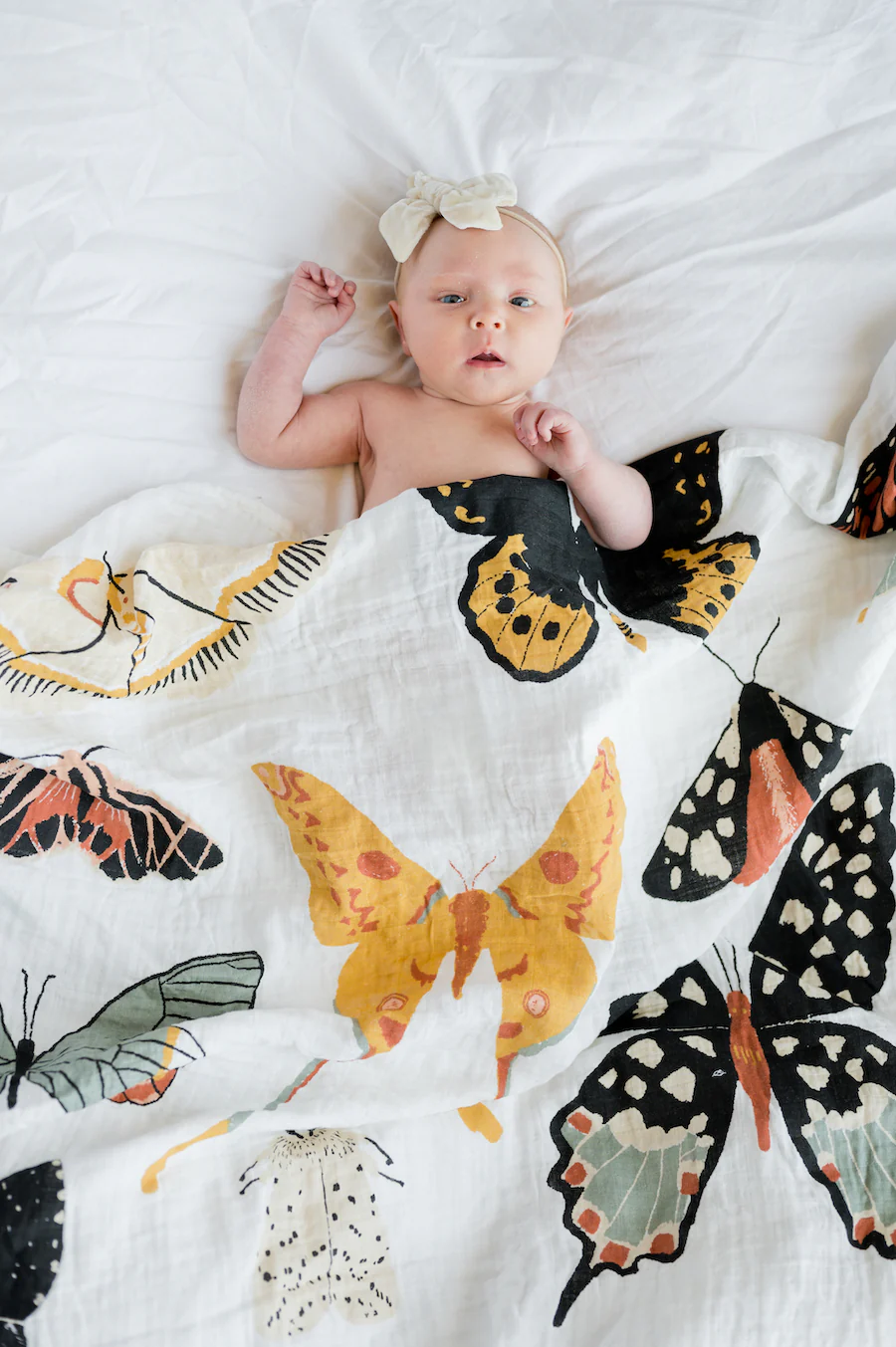 Butterfly Collector Swaddle - Image 4