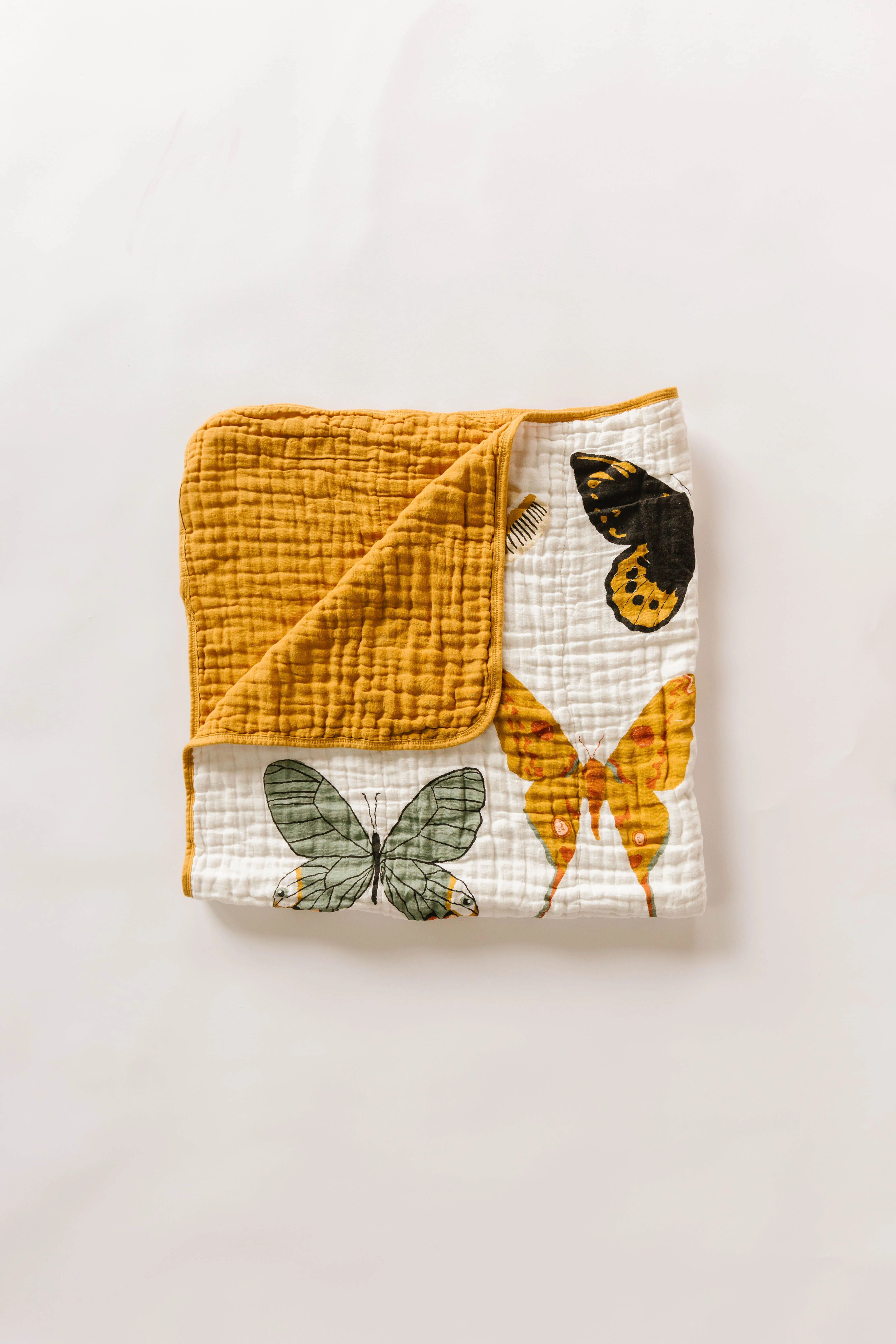 Butterfly Essential Bundle - Image 3