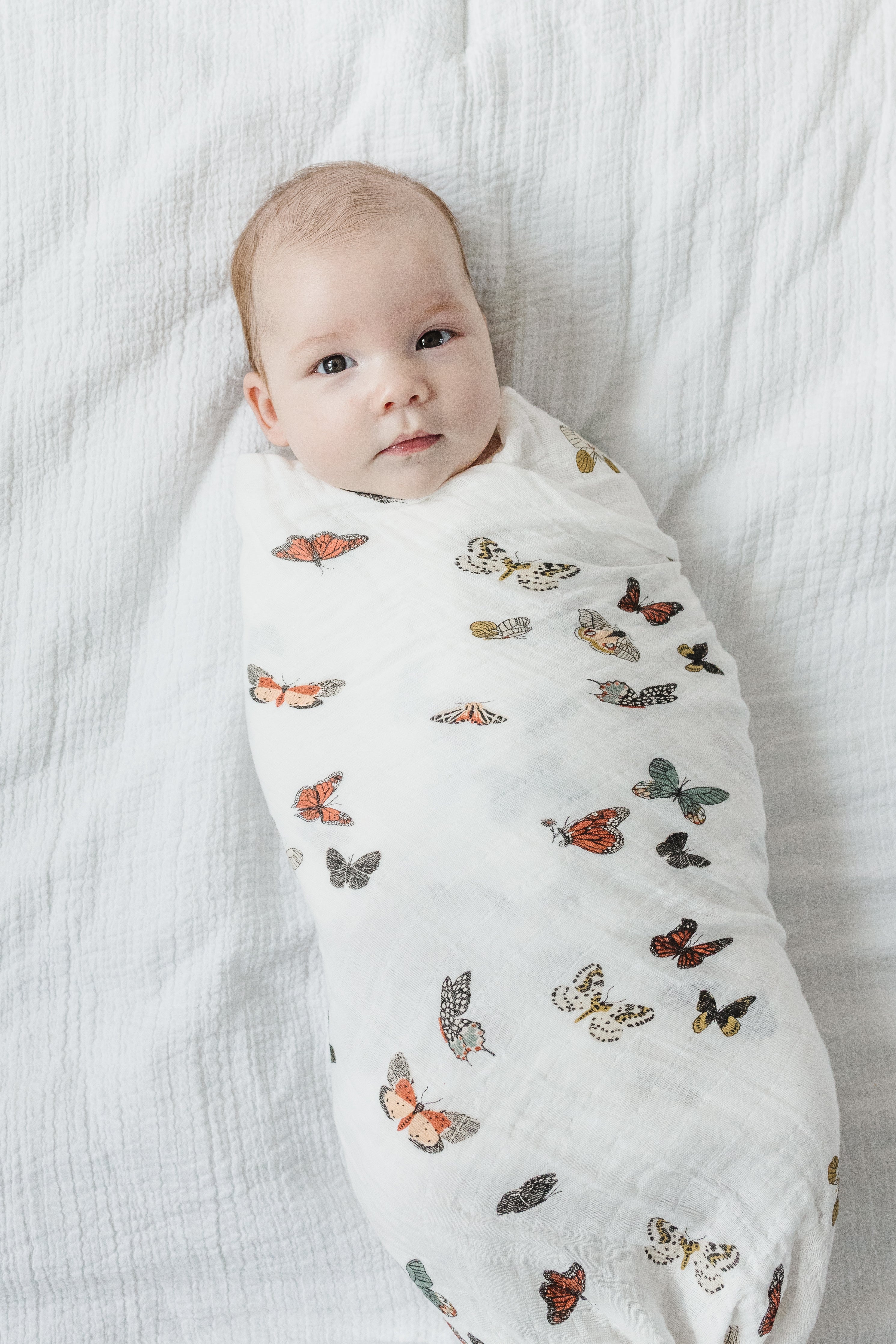 Butterfly Migration Swaddle - Image 3