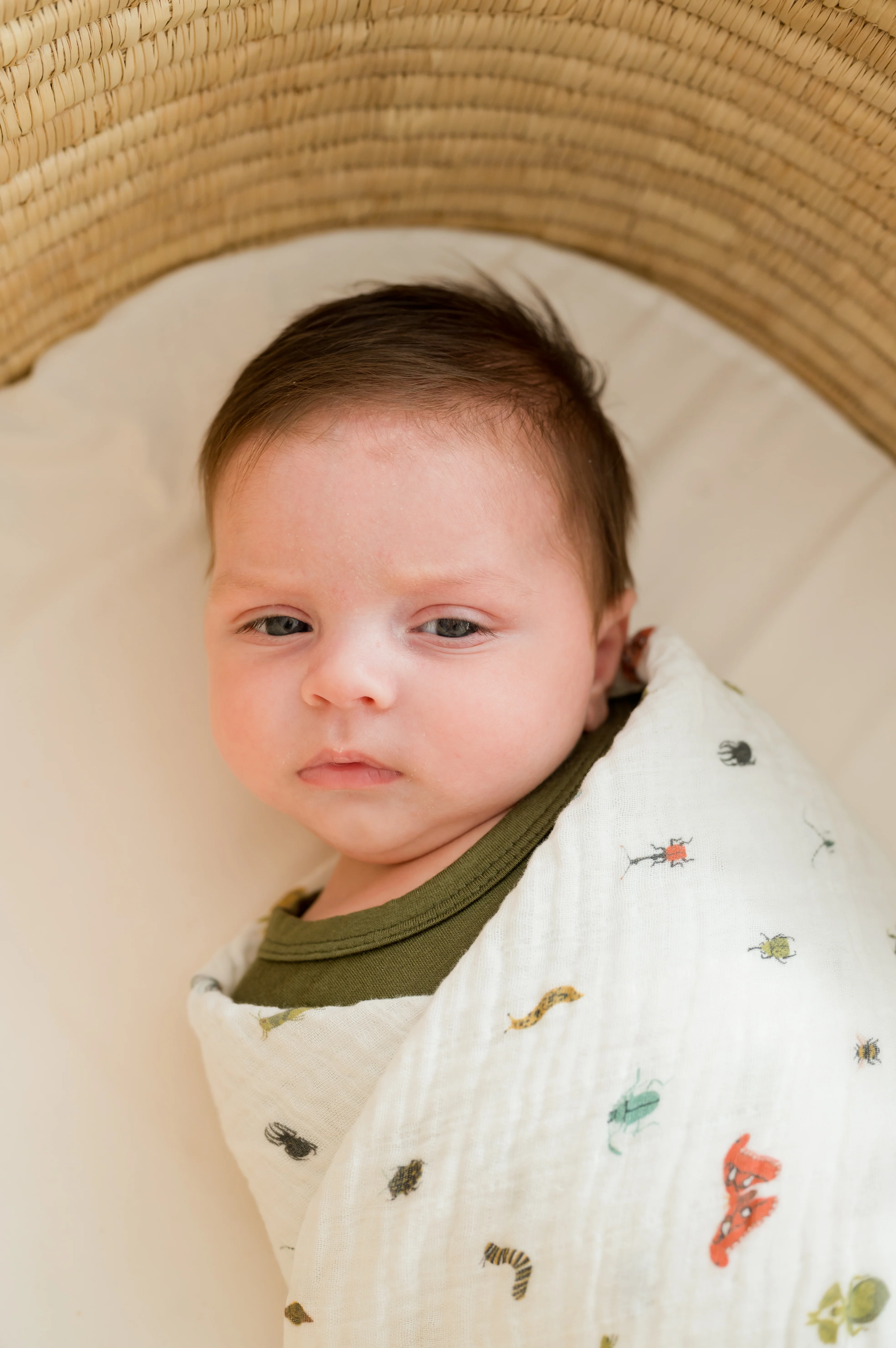 Cutie Crawlies Essential Bundle - Image 3