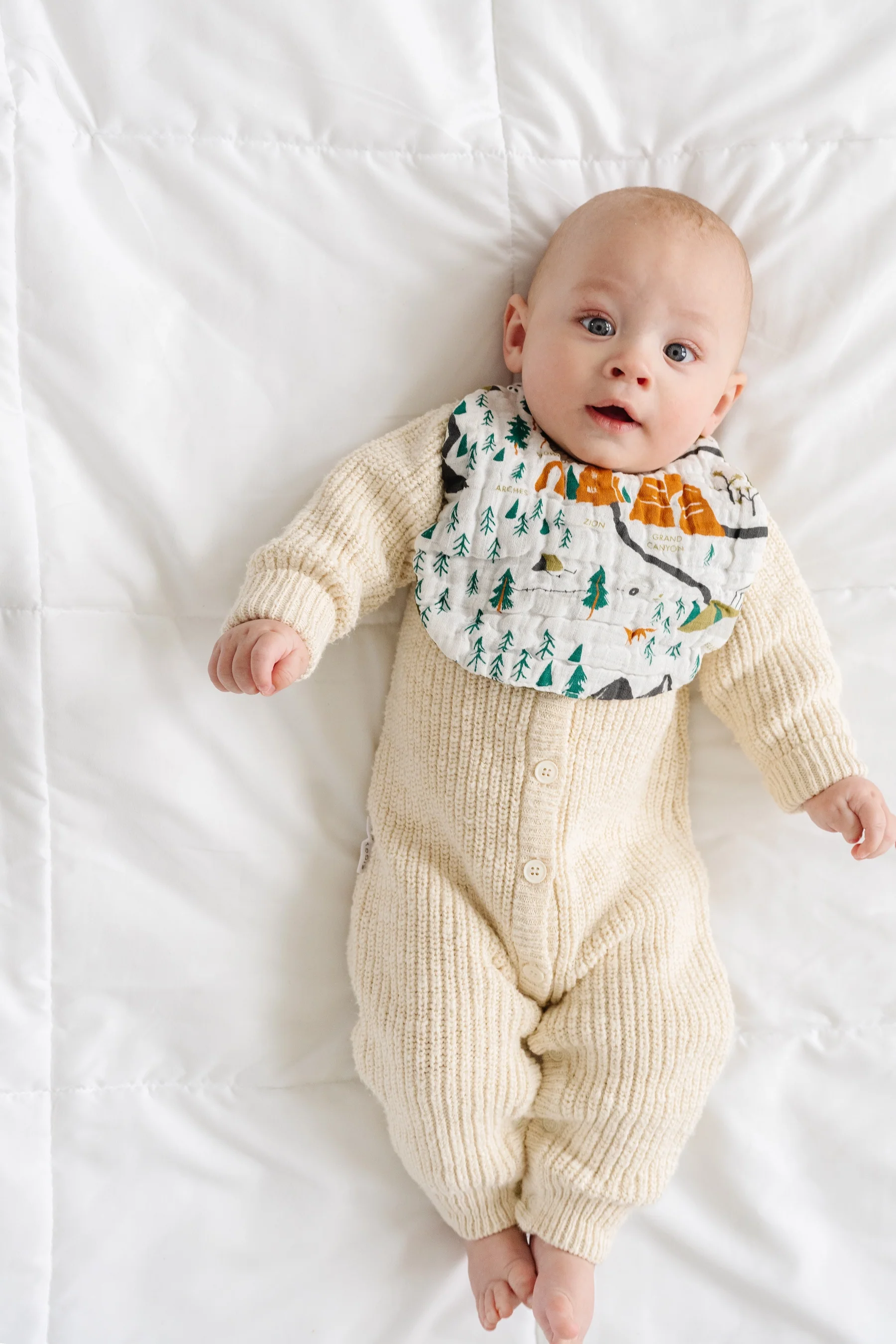 National Parks Bib - Image 3