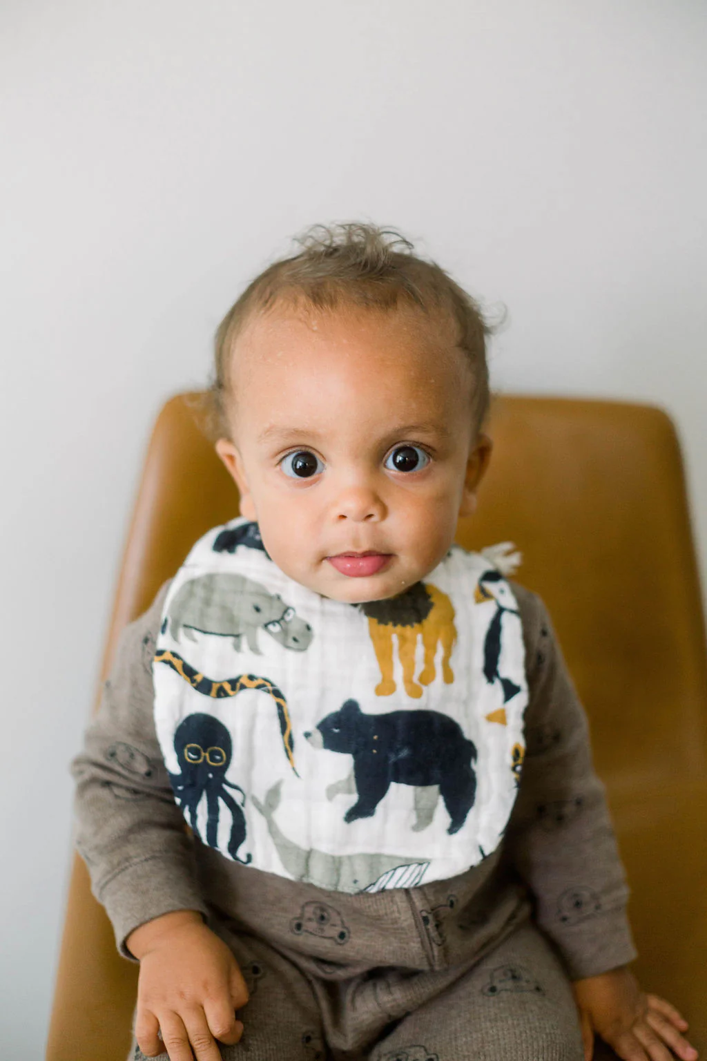 Zoology and Specs Bib Pack - Image 7